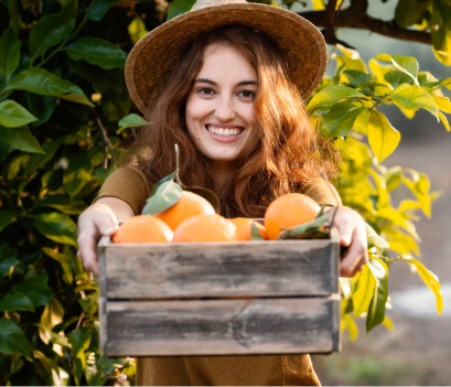 Narenciye İhracatını, 423 milyon dolarla mandalina sırtladı